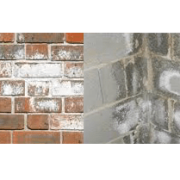Removal Efflorescence and salts from Masonry, efflorescence-slab-brick-block