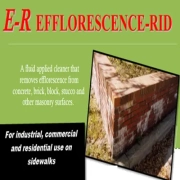 Efflorescence Rid Removal Efflorescence and salts from Masonry