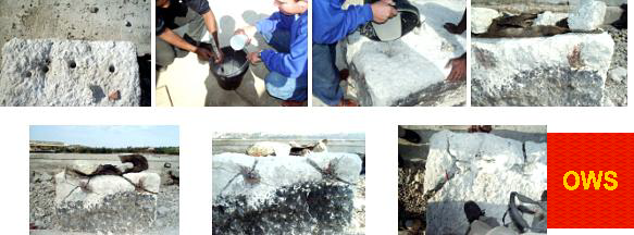 DRIZORO Maxdinamit Maxmortar Expansive - Image 2