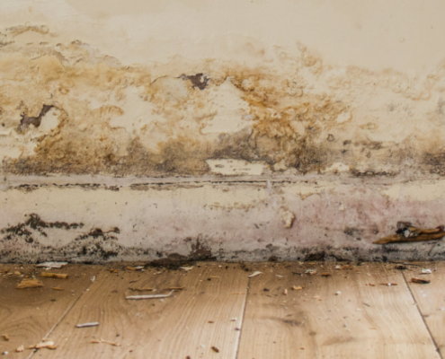 Rising Dampness Treatments to Protect Your Home and Health