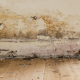 Rising Dampness Treatments to Protect Your Home and Health